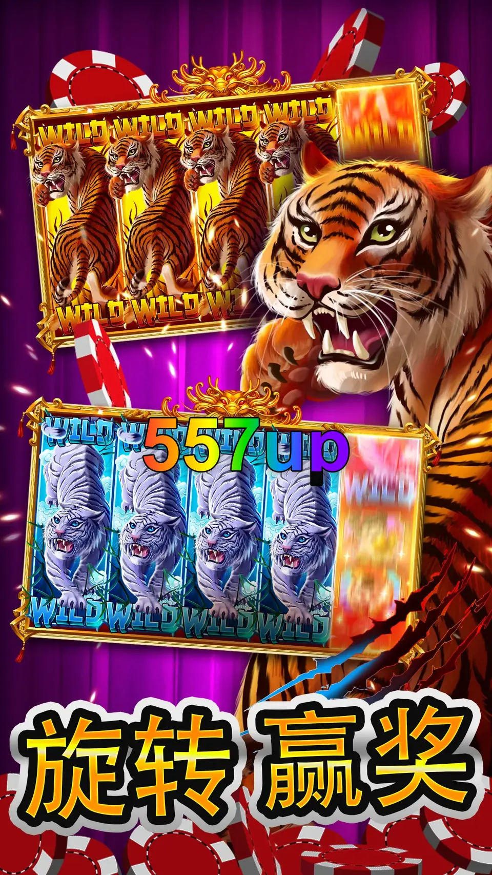 557up Login